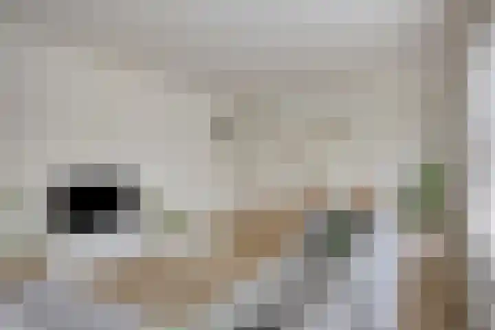 Jacob van Campenlaan 178 Hilversum thumbnail 4