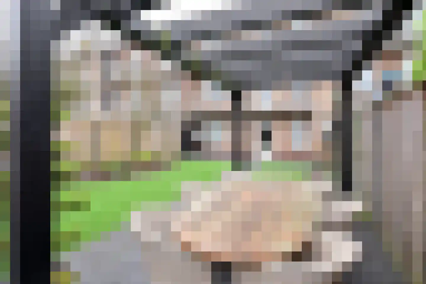 Jacob van Campenlaan 204 Hilversum thumbnail 12