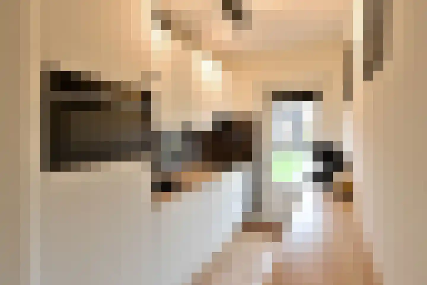 Jacob van Campenlaan 204 Hilversum thumbnail 8