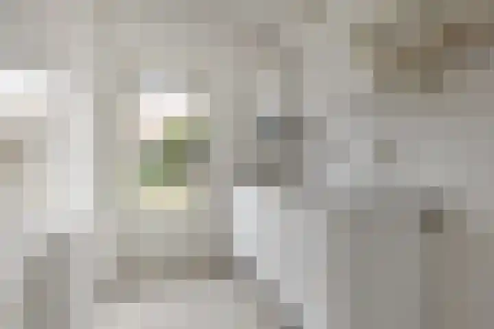 Jacob van Campenlaan 210 Hilversum thumbnail 11