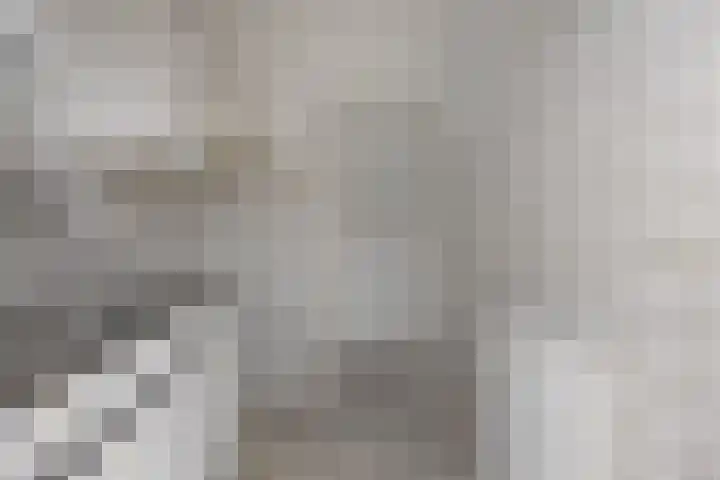 Jacob van Campenlaan 210 Hilversum thumbnail 12