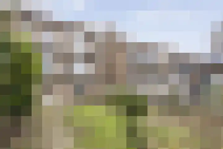 Jacob van Campenlaan 210 Hilversum thumbnail 17
