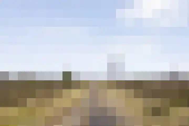 Jacob van Campenlaan 210 Hilversum thumbnail 23