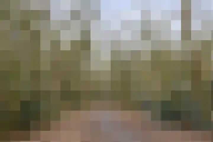 Jacob van Campenlaan 210 Hilversum thumbnail 24
