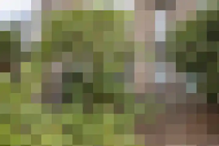 Jacob van Campenlaan 210 Hilversum thumbnail 5