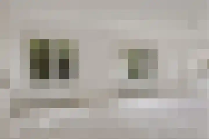 Jacob van Campenlaan 210 Hilversum thumbnail 7