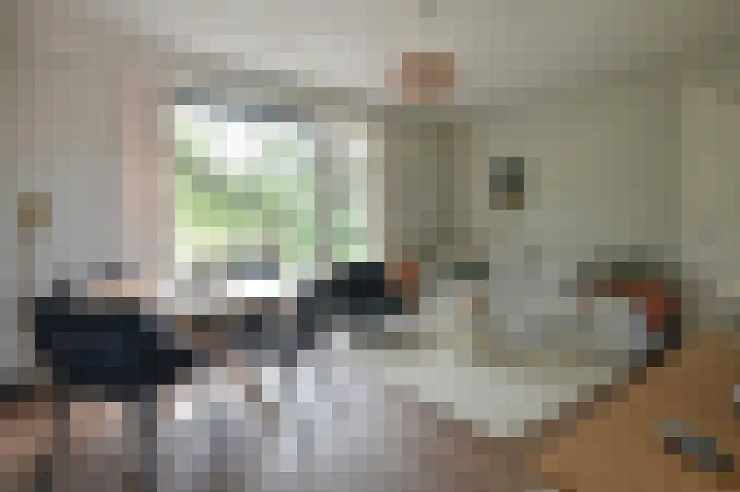 Jacob van Campenlaan 217 Hilversum thumbnail 7