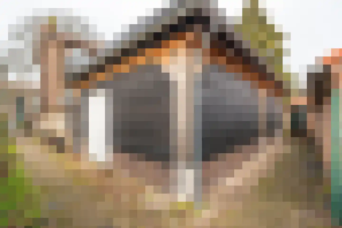 Jacob van Campenlaan 218 Hilversum thumbnail 18