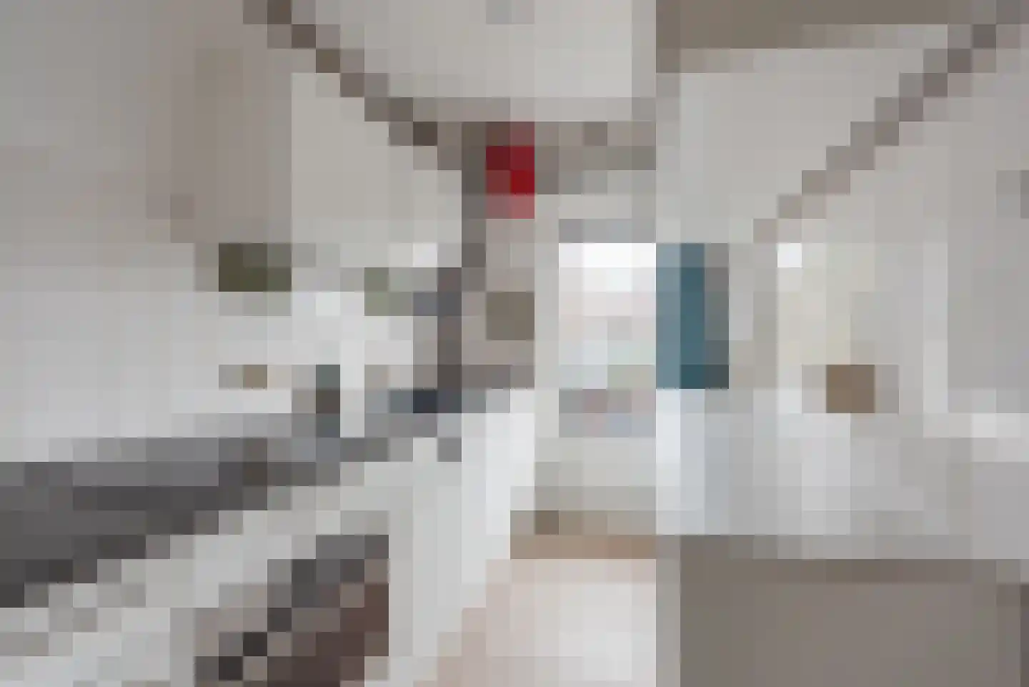 Jacob van Campenlaan 218 Hilversum thumbnail 7