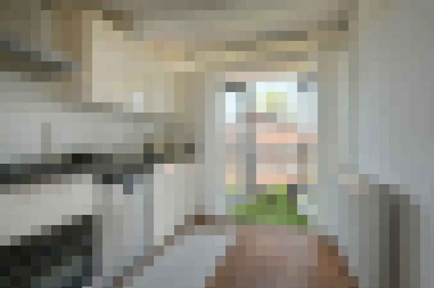 Jacob van Campenlaan 227 Hilversum thumbnail 5