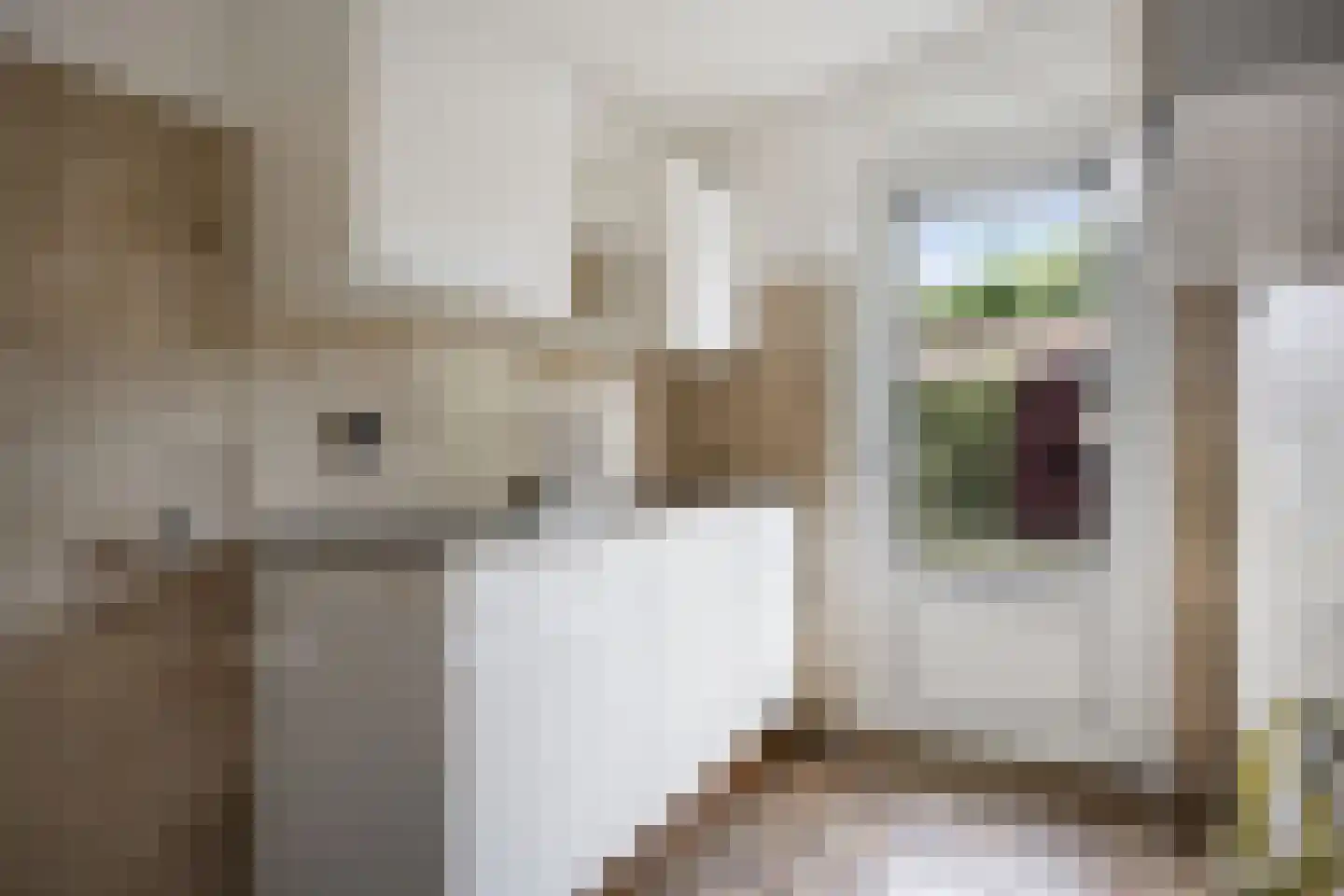 Jacob van Campenlaan 228 Hilversum thumbnail 11