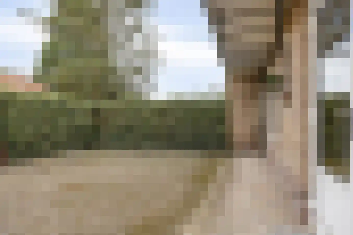 Jacob van Campenlaan 228 Hilversum thumbnail 18