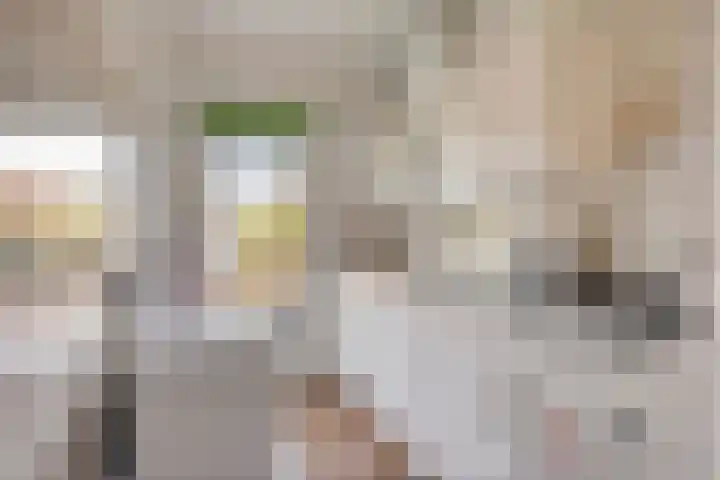 Jacob van Campenlaan 236 Hilversum thumbnail 10