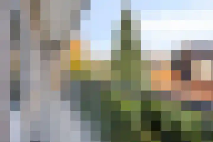 Jacob van Campenlaan 236 Hilversum thumbnail 18