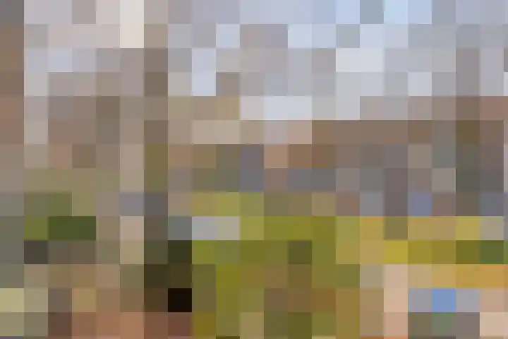 Jacob van Campenlaan 236 Hilversum thumbnail 19