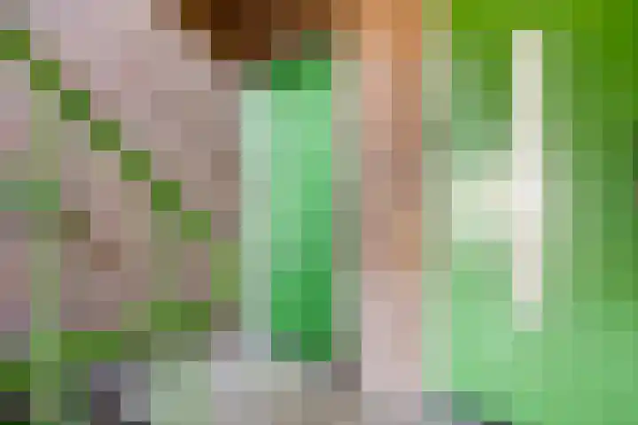 Jacob van Campenlaan 236 Hilversum thumbnail 20