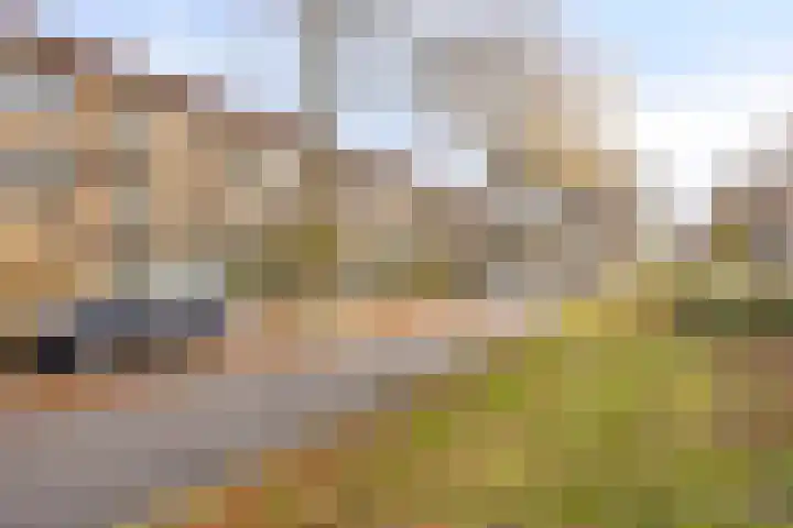 Jacob van Campenlaan 236 Hilversum thumbnail 25