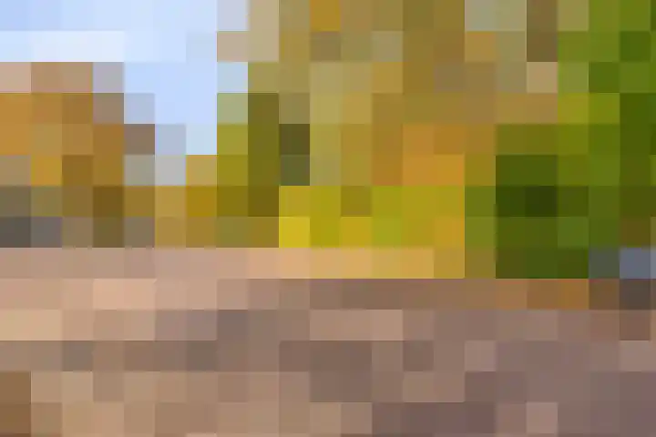 Jacob van Campenlaan 236 Hilversum thumbnail 28