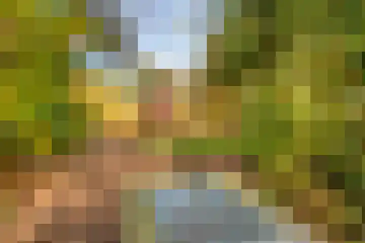 Jacob van Campenlaan 236 Hilversum thumbnail 29