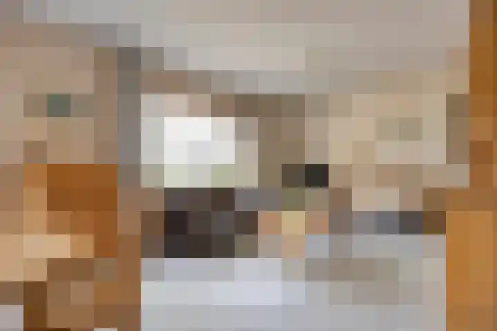 Jacob van Campenlaan 236 Hilversum thumbnail 4