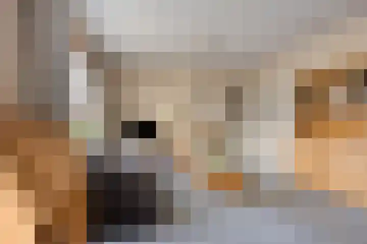Jacob van Campenlaan 236 Hilversum thumbnail 5