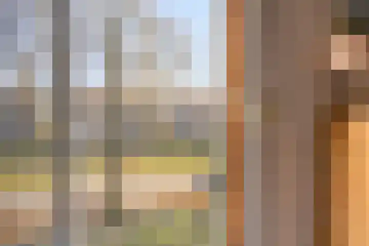 Jacob van Campenlaan 236 Hilversum thumbnail 8