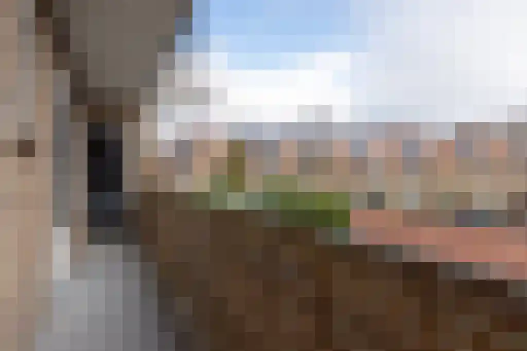 Jacob van Campenlaan 242 Hilversum thumbnail 13