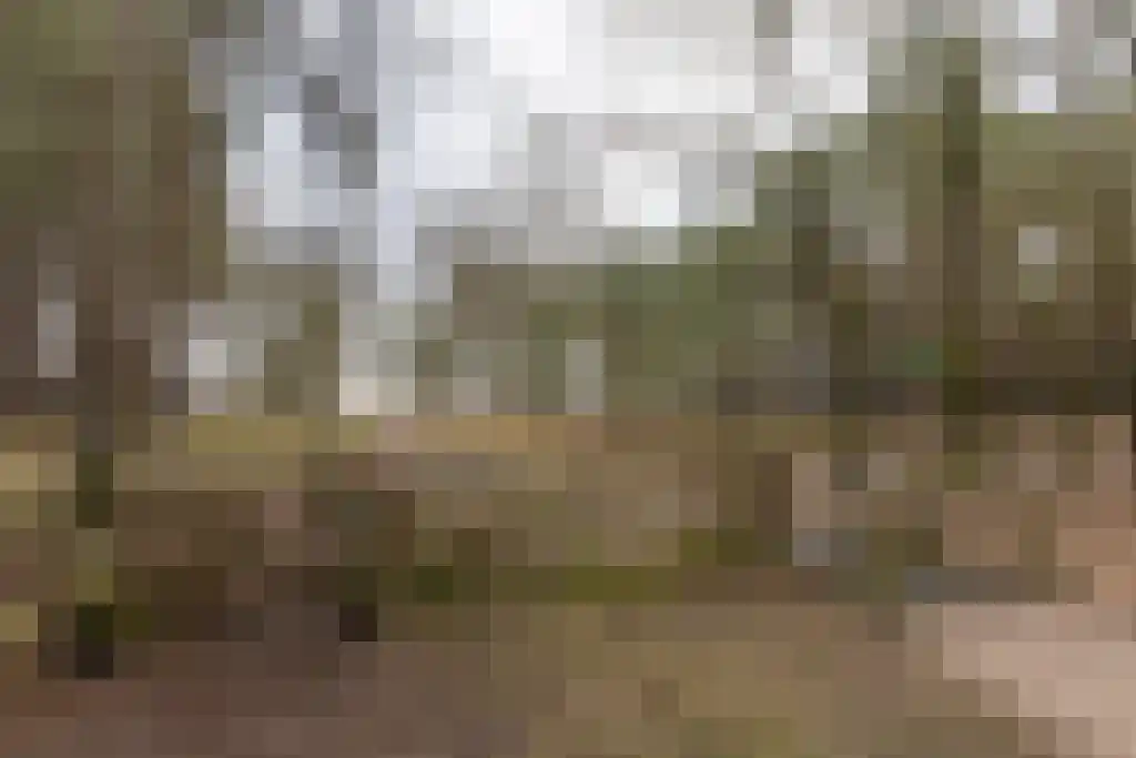 Jacob van Campenlaan 242 Hilversum thumbnail 20