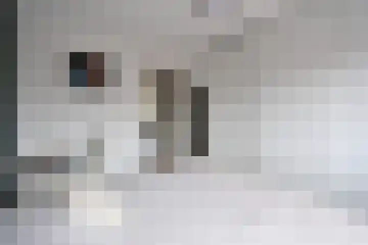 Jacob van Campenlaan 243 Hilversum thumbnail 10