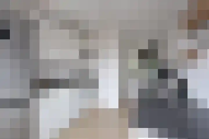 Jacob van Campenlaan 243 Hilversum thumbnail 11