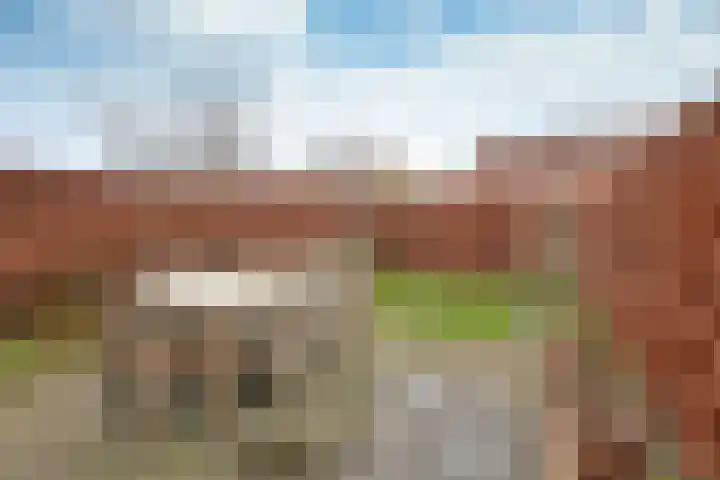 Jacob van Campenlaan 243 Hilversum thumbnail 14