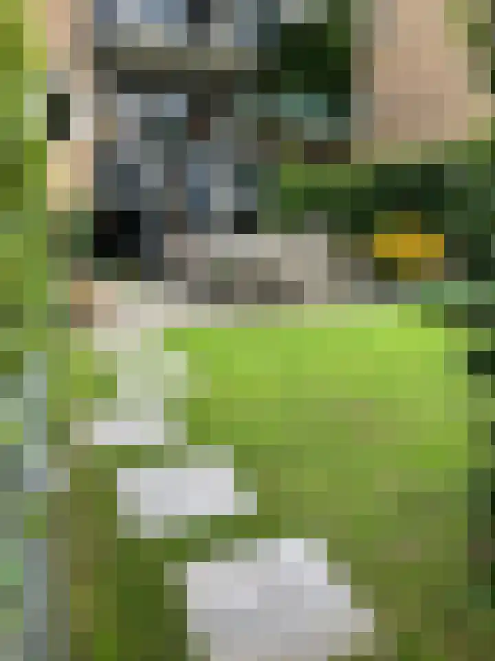 Jacob van Campenlaan 243 Hilversum thumbnail 16