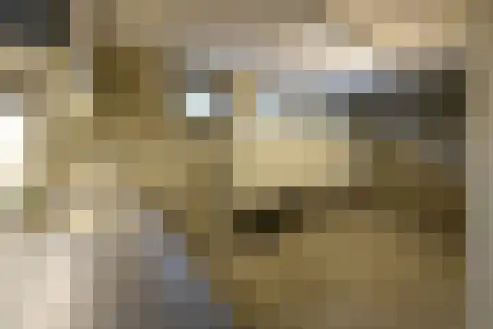 Jacob van Campenlaan 243 Hilversum thumbnail 17