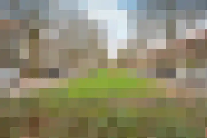 Jacob van Campenlaan 243 Hilversum thumbnail 19