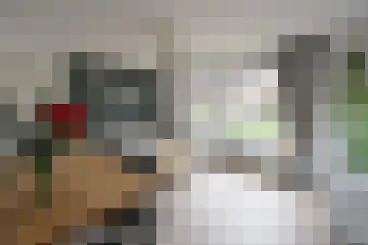 Jacob van Campenlaan 243 Hilversum thumbnail 4