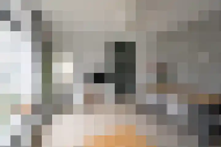 Jacob van Campenlaan 243 Hilversum thumbnail 6