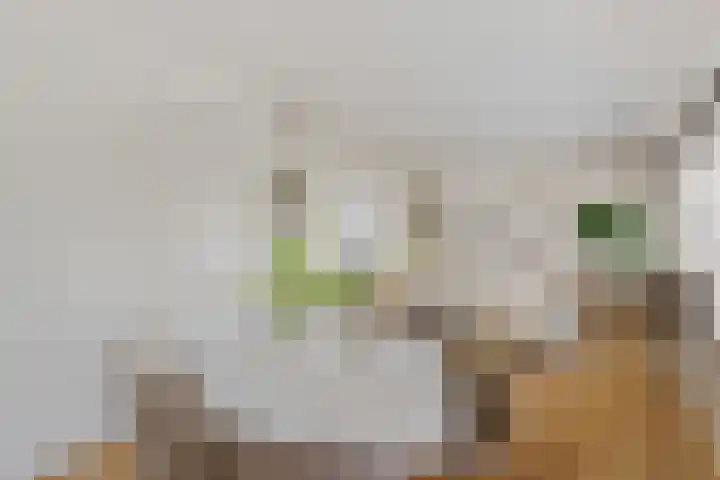 Jacob van Campenlaan 26 Hilversum thumbnail 10