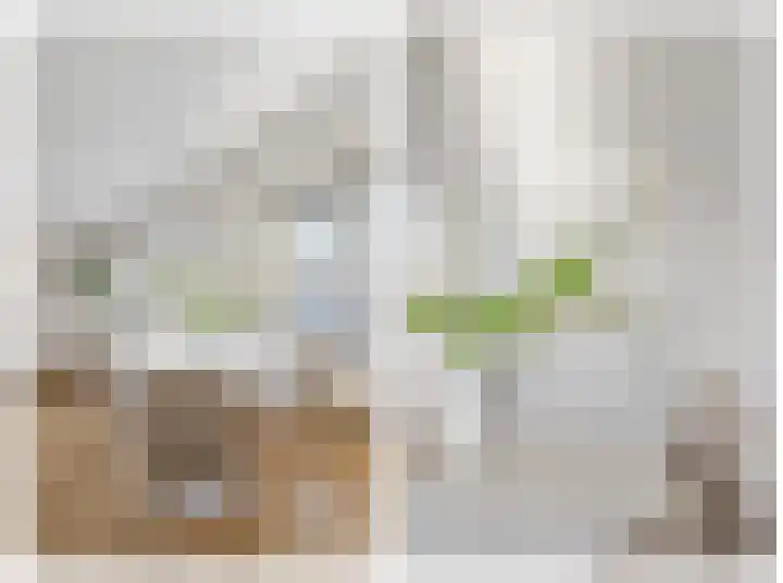 Jacob van Campenlaan 26 Hilversum thumbnail 12