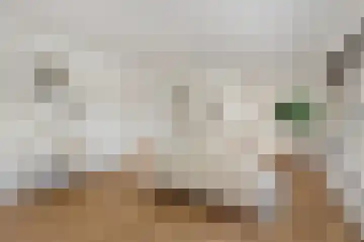 Jacob van Campenlaan 26 Hilversum thumbnail 9