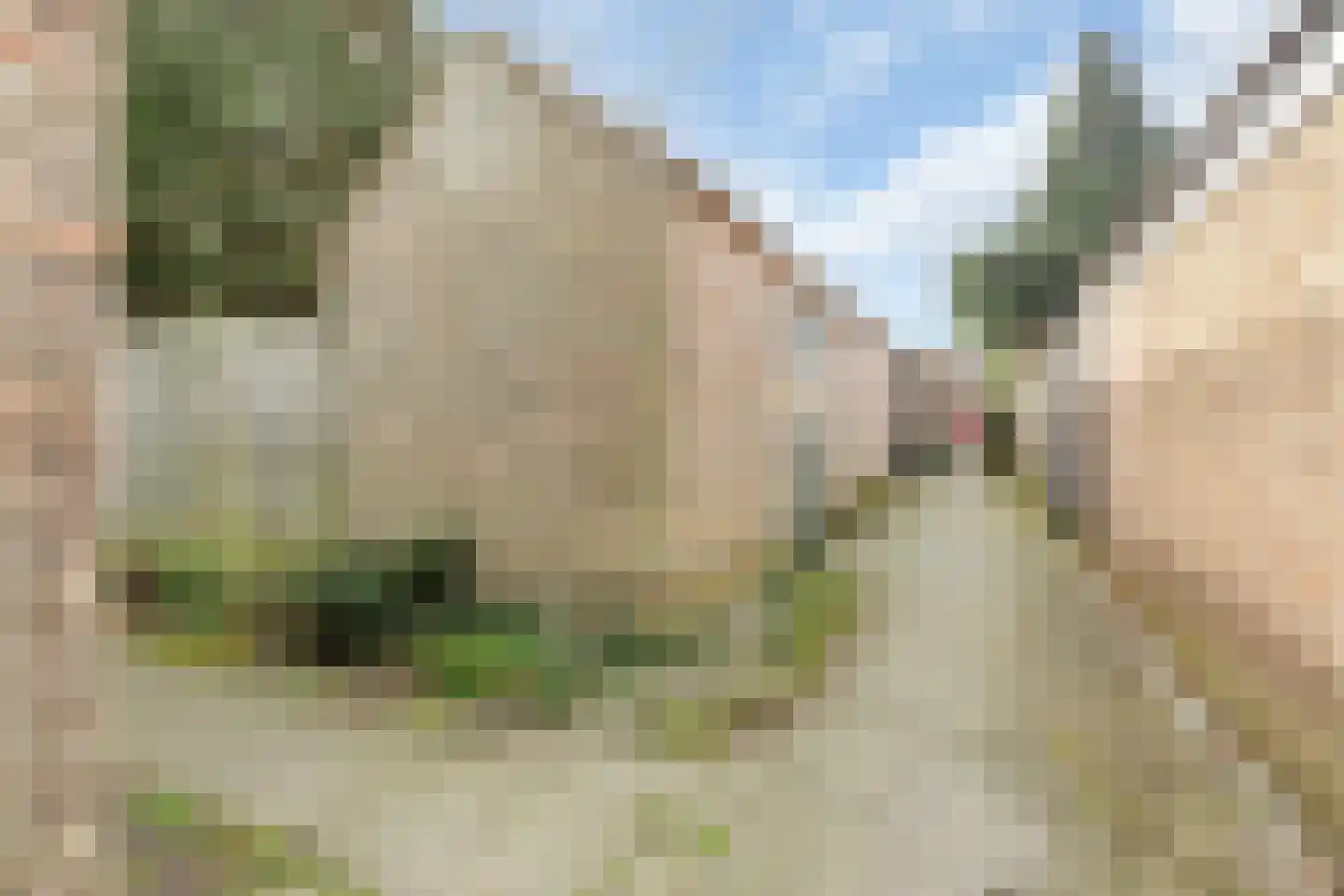 Jacob van Campenlaan 27 Hilversum thumbnail 10