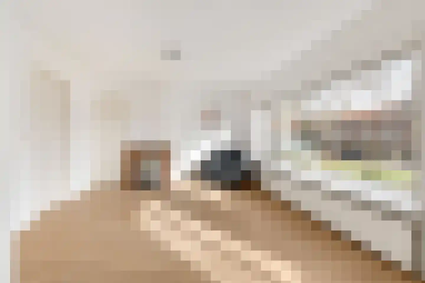 Jacob van Campenlaan 27 Hilversum thumbnail 4
