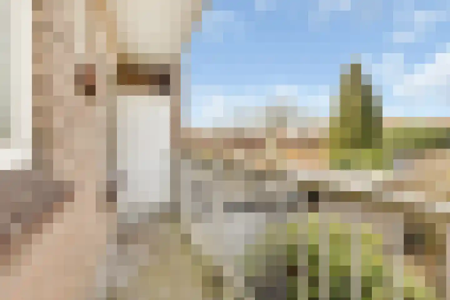 Jacob van Campenlaan 27 Hilversum thumbnail 9