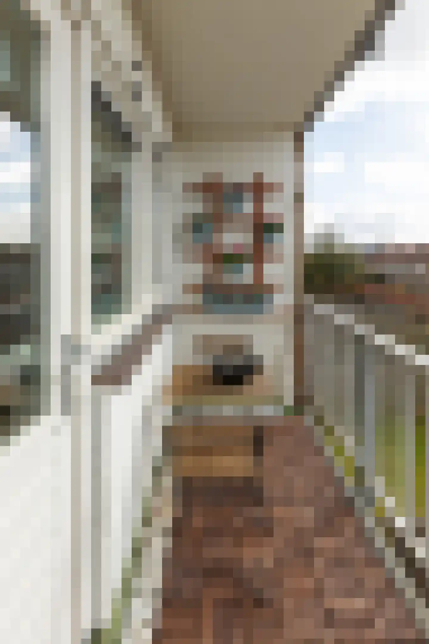 Jacob van Campenlaan 347 Hilversum thumbnail 15
