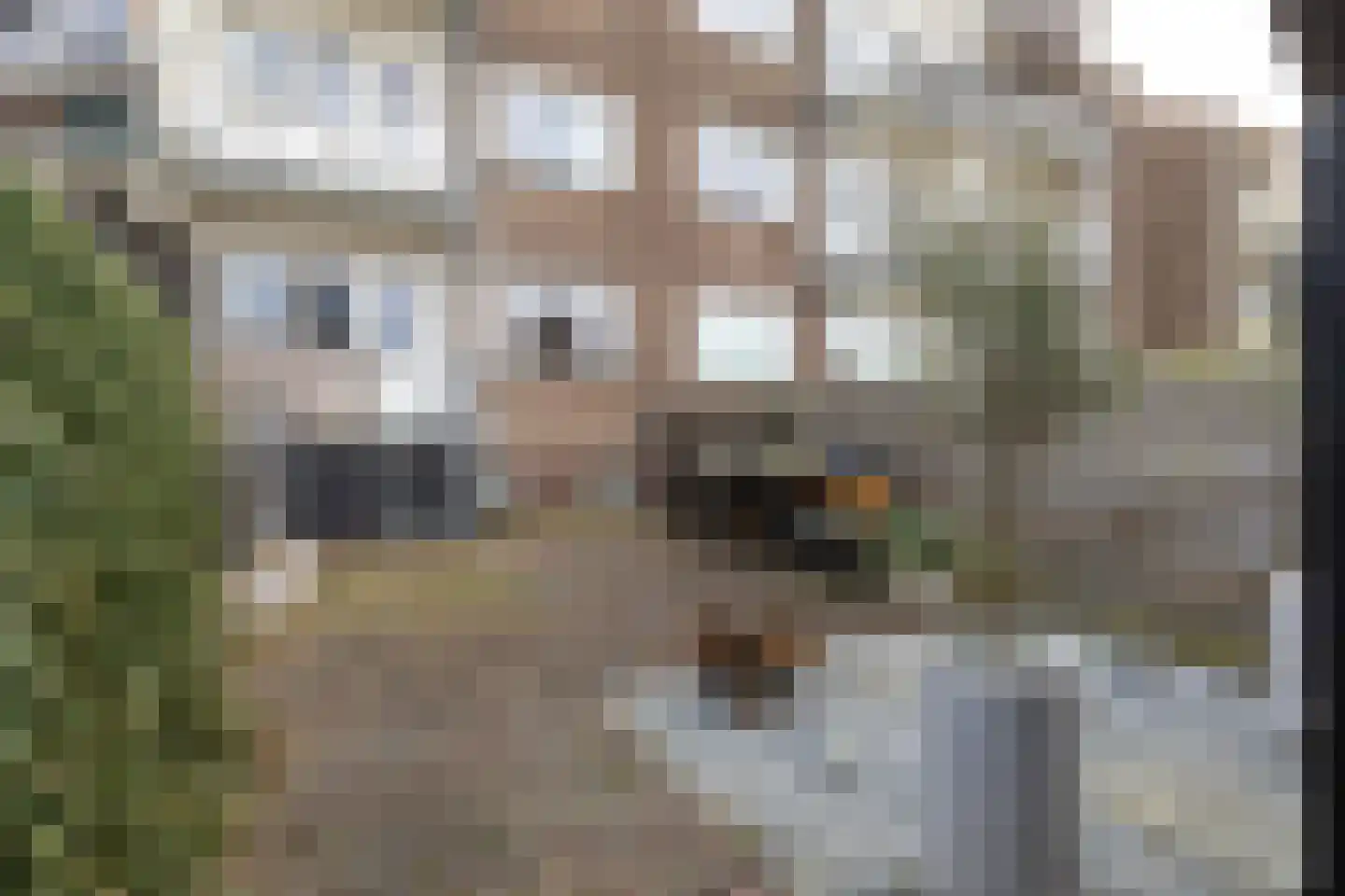 Jacob van Campenlaan 351 Hilversum thumbnail 22