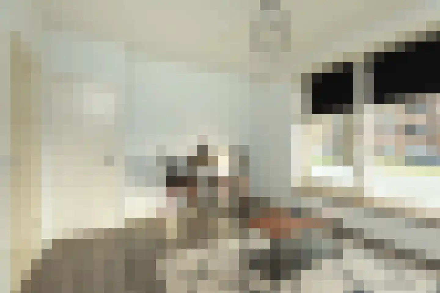Jacob van Campenlaan 351 Hilversum thumbnail 9