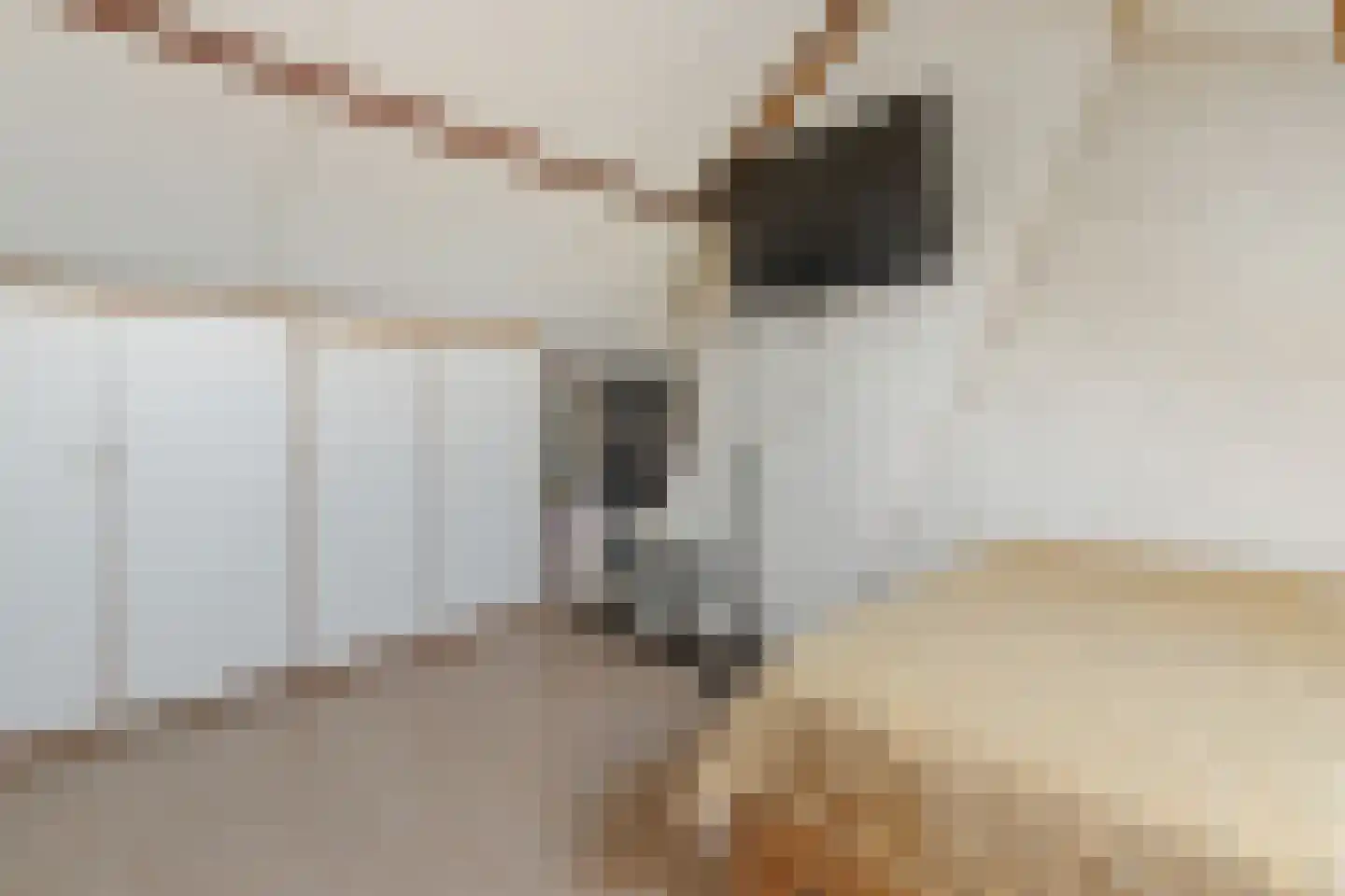 Jacob van Campenlaan 367 Hilversum thumbnail 18