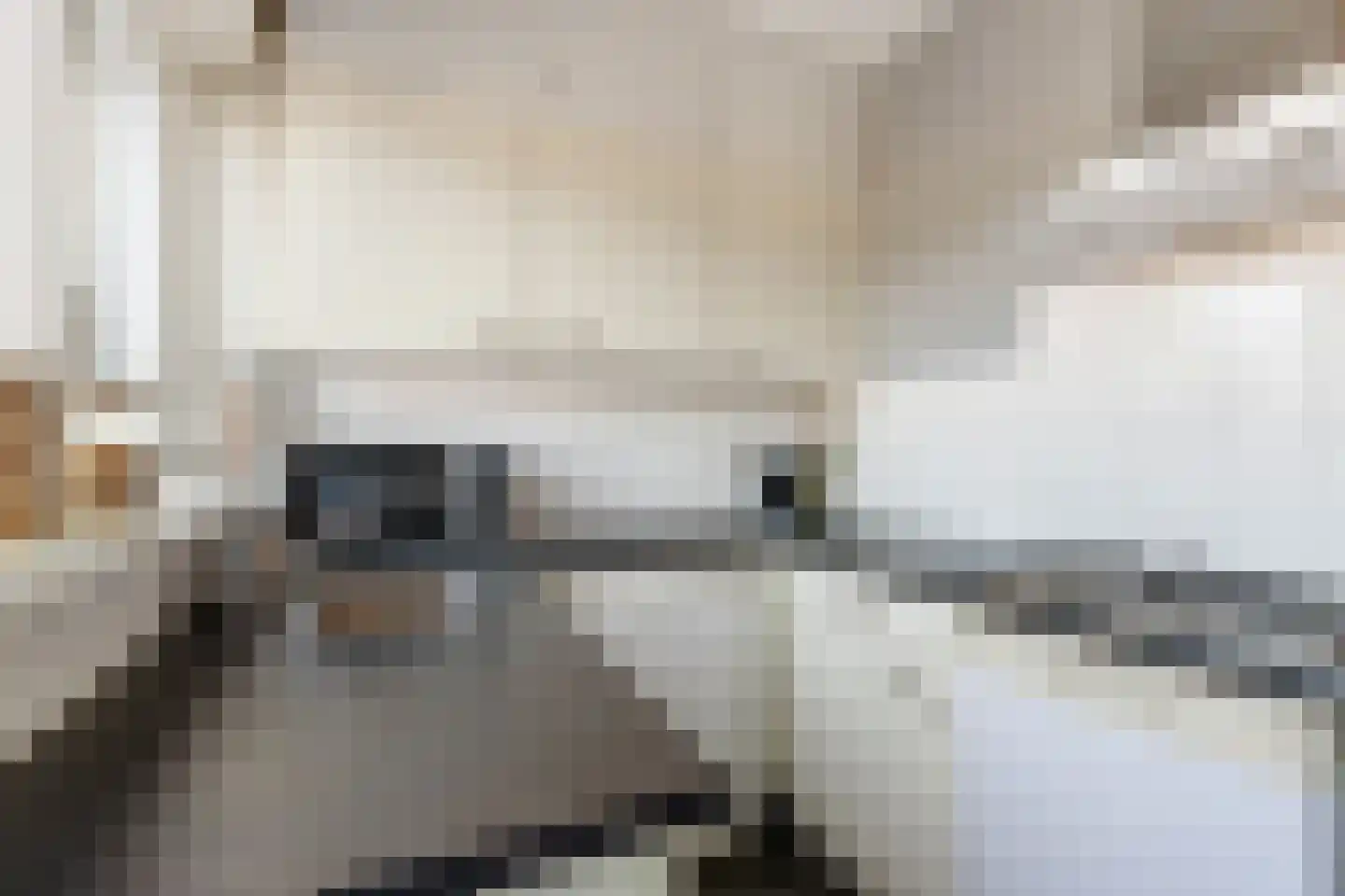 Jacob van Campenlaan 367 Hilversum thumbnail 8