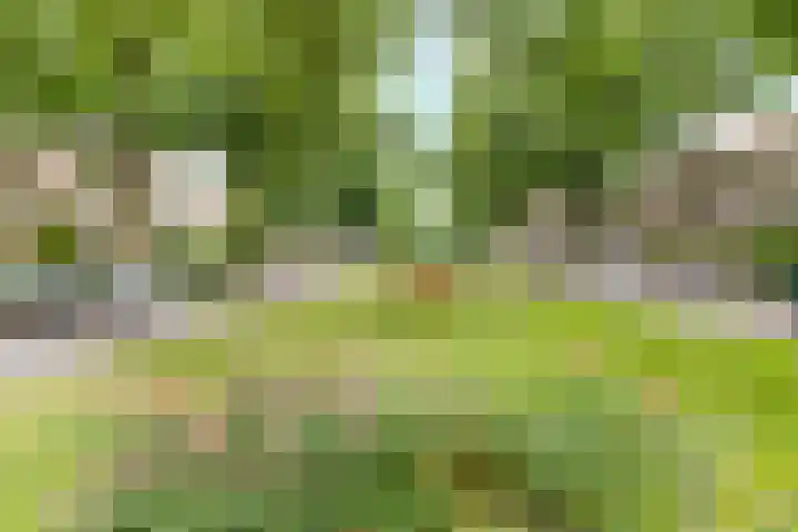 Jacob van Campenlaan 39 Hilversum thumbnail 16