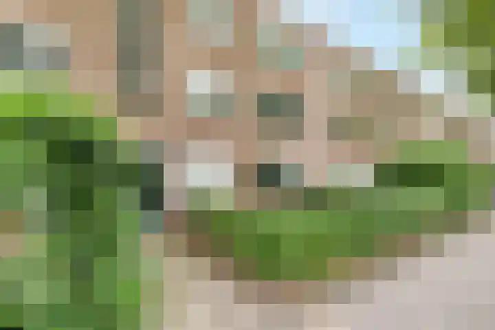 Jacob van Campenlaan 39 Hilversum thumbnail 18