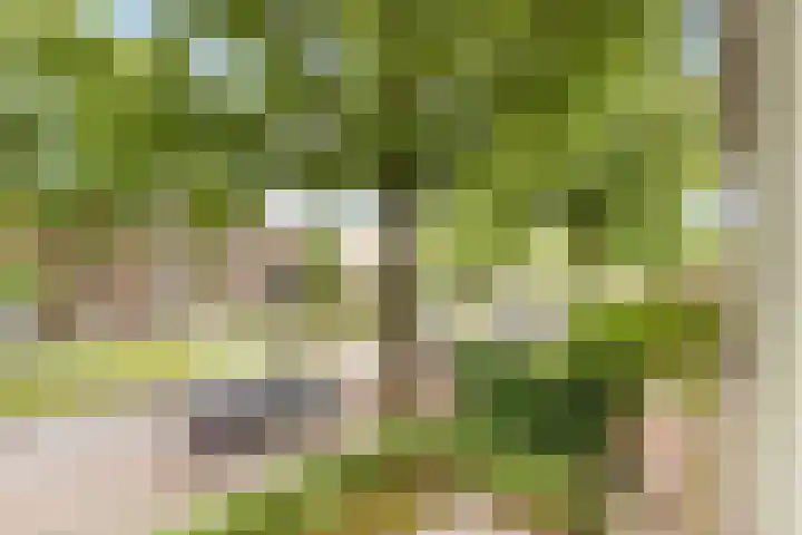 Jacob van Campenlaan 39 Hilversum thumbnail 8